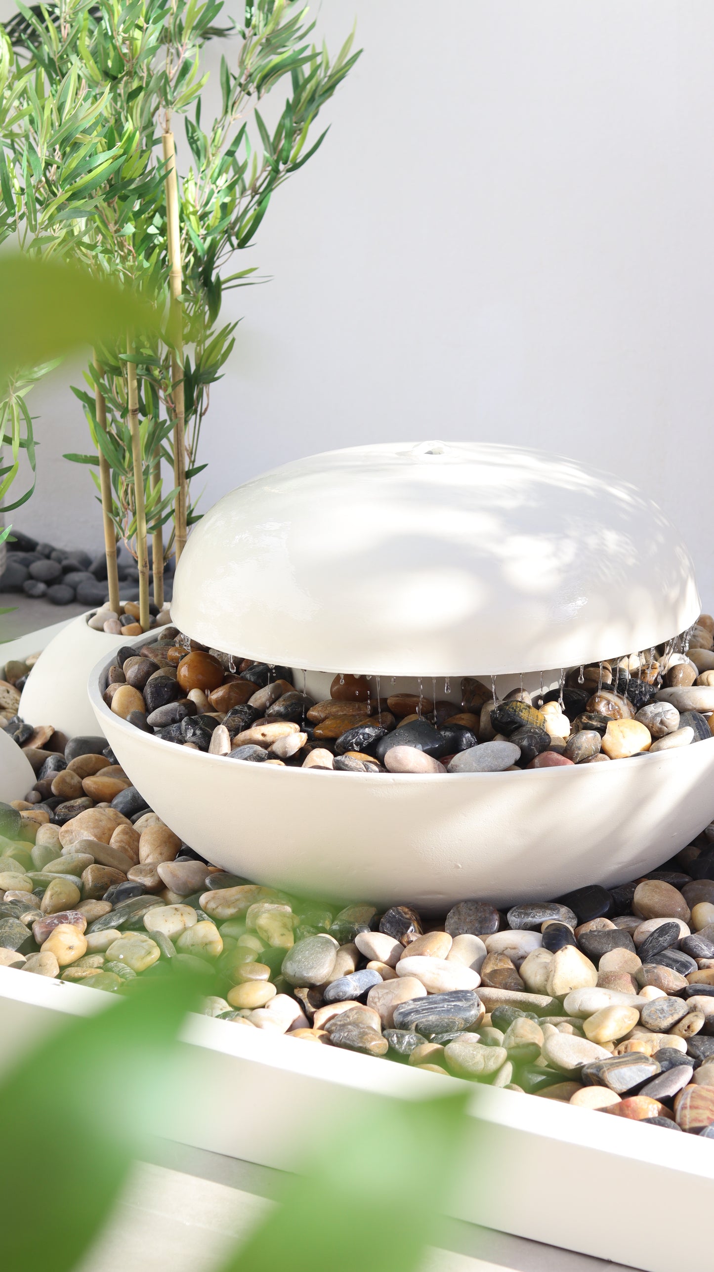 جزيرة دينتري