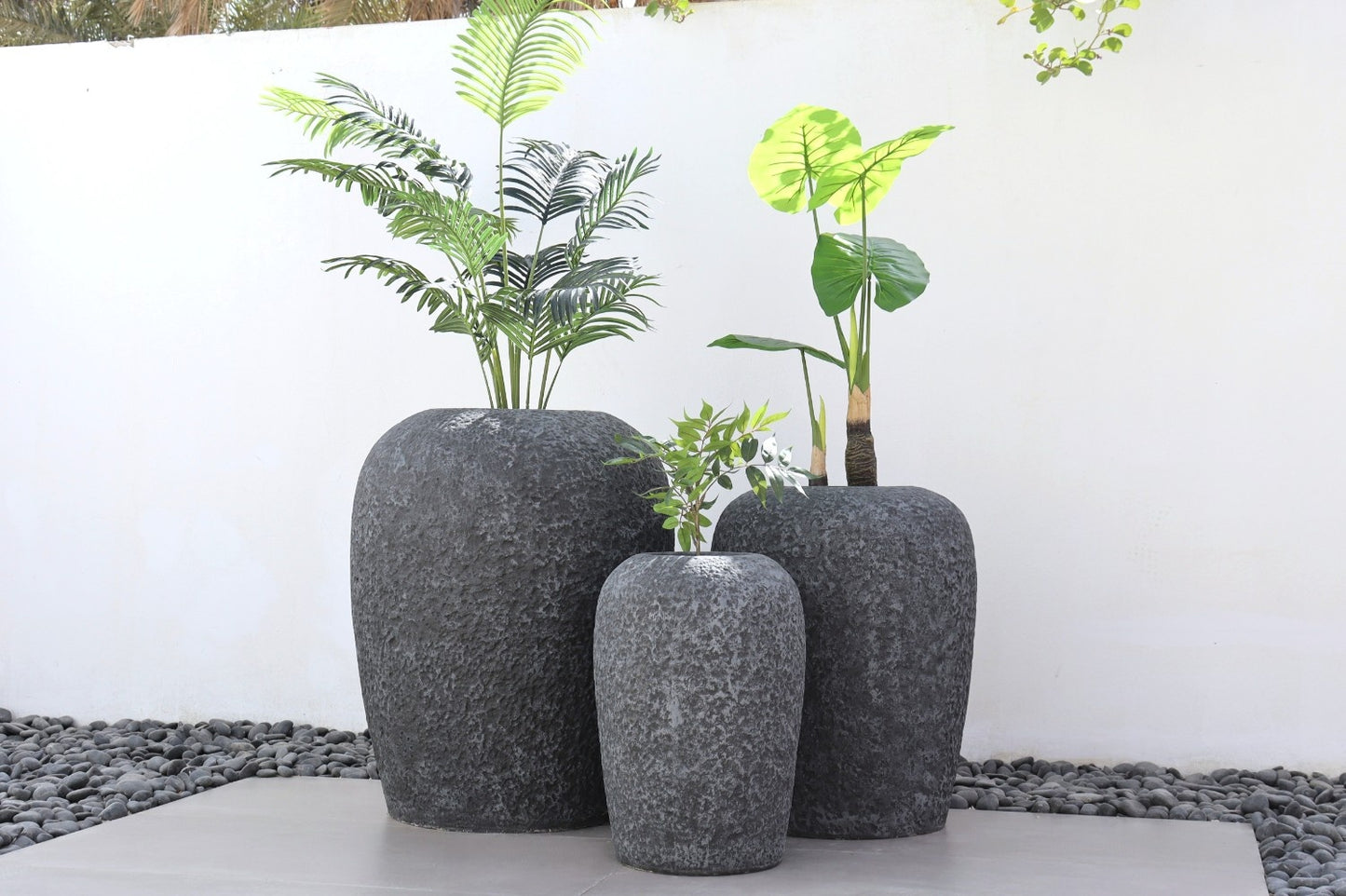 أحواض بايرو