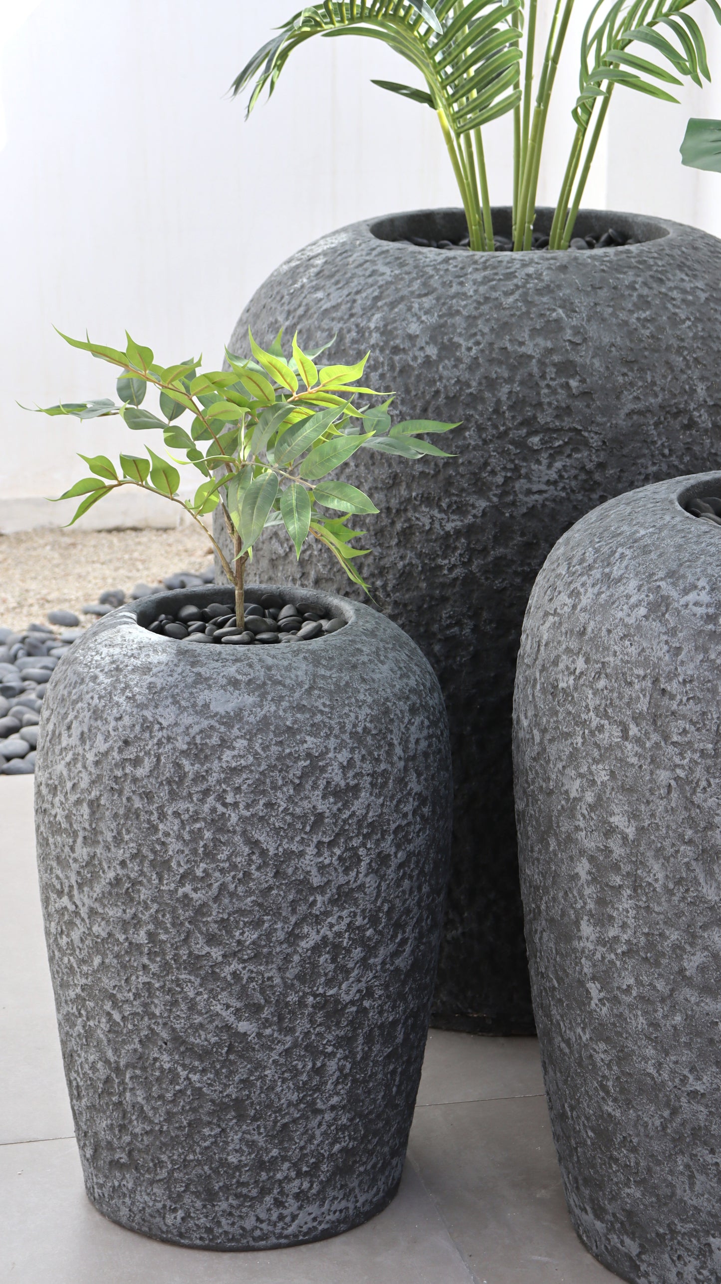 أحواض بايرو