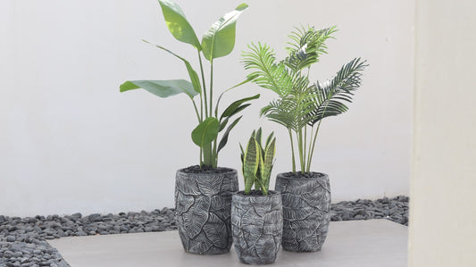 أحواض فلورينا