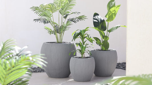 أحواض لينيا