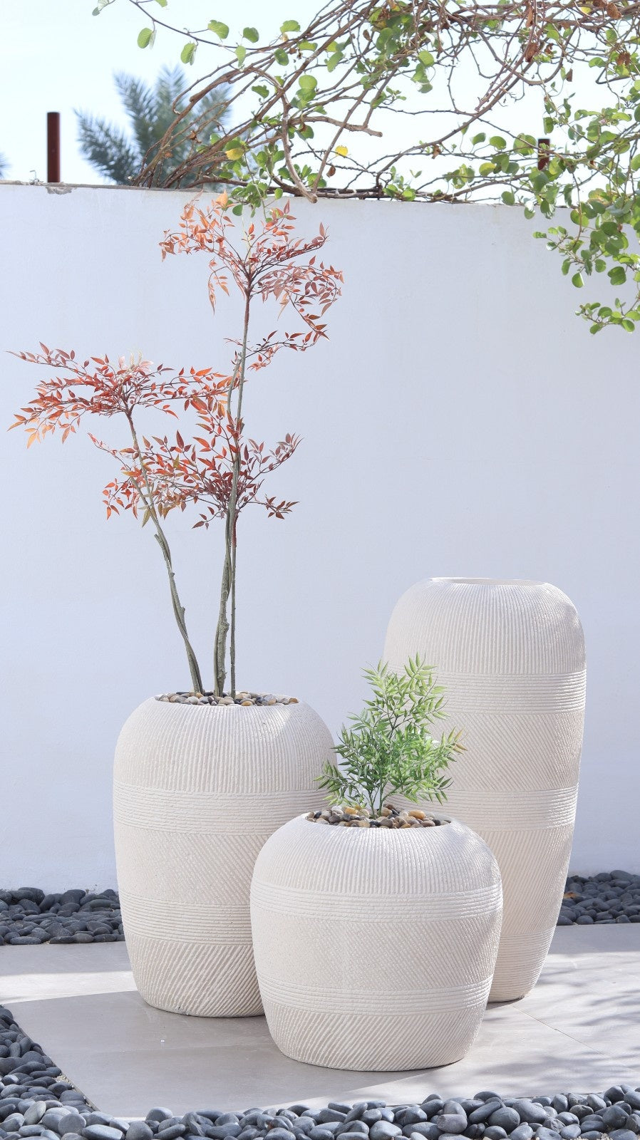 أحواض أرينا