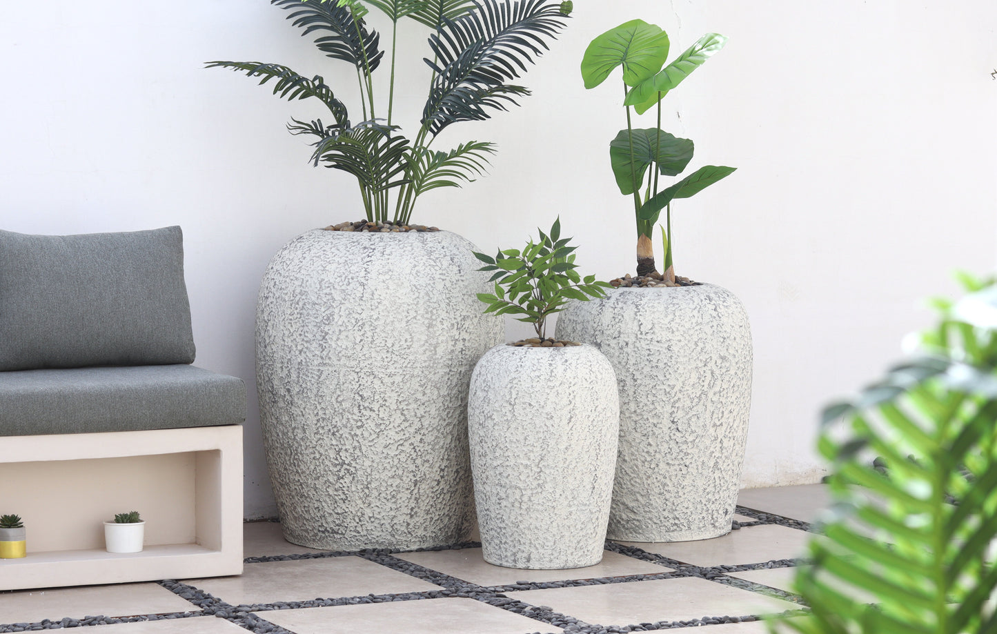 أحواض بايرو