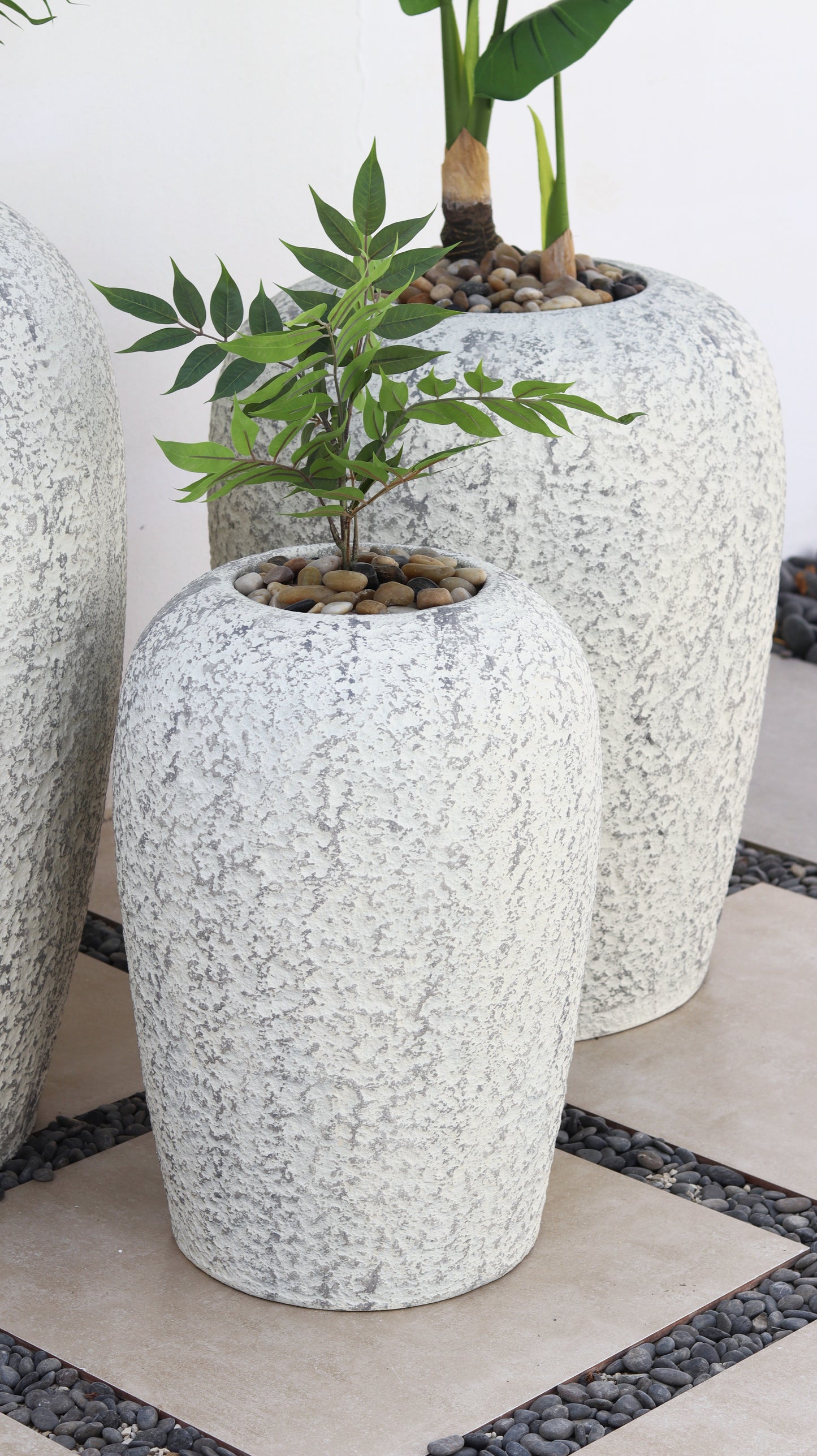 أحواض بايرو