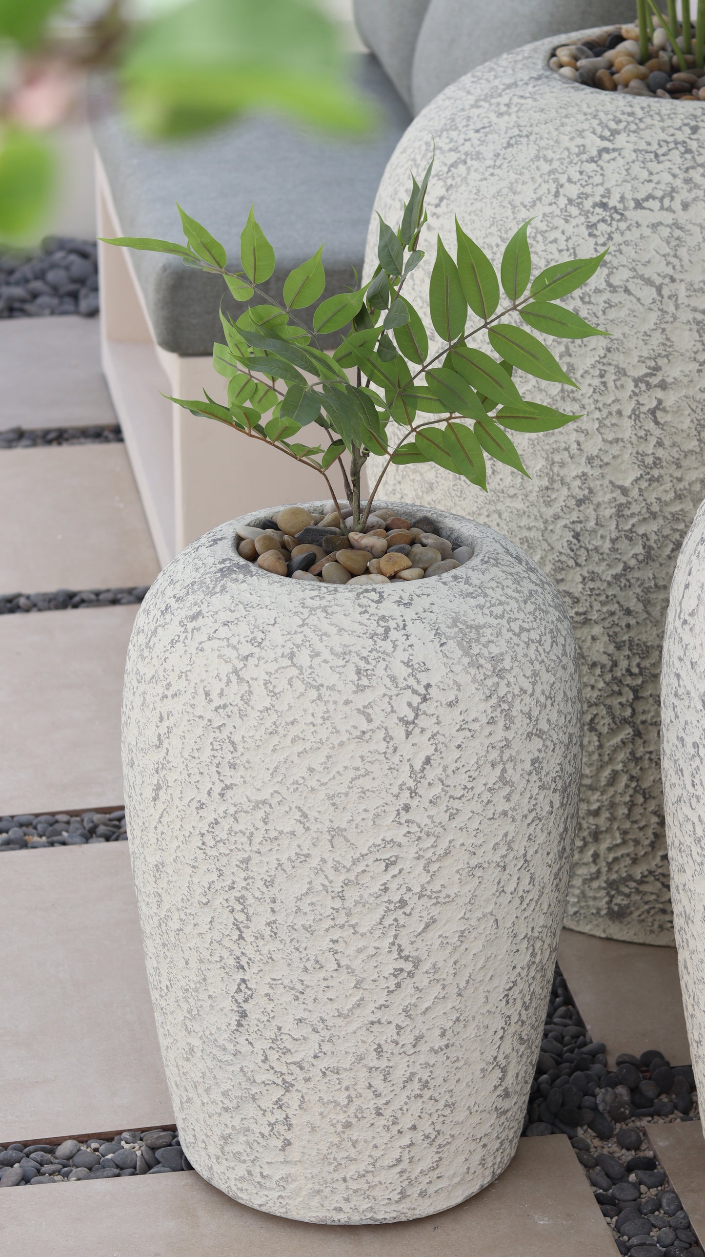 أحواض بايرو