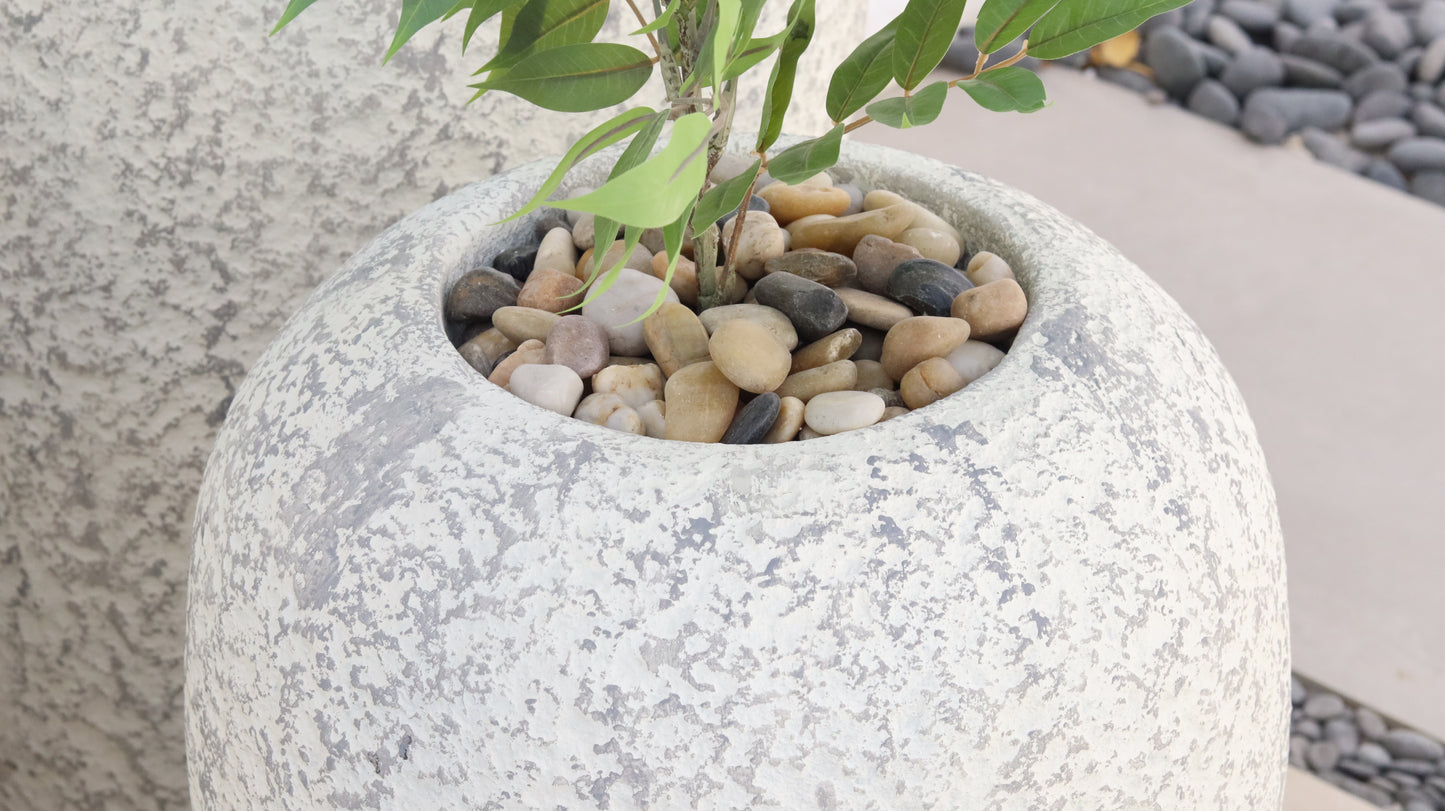 أحواض بايرو