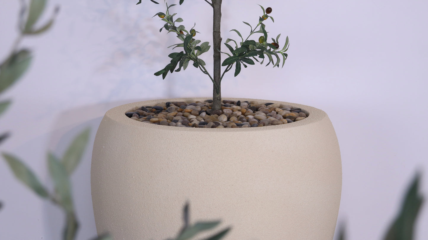 ماركن هافن