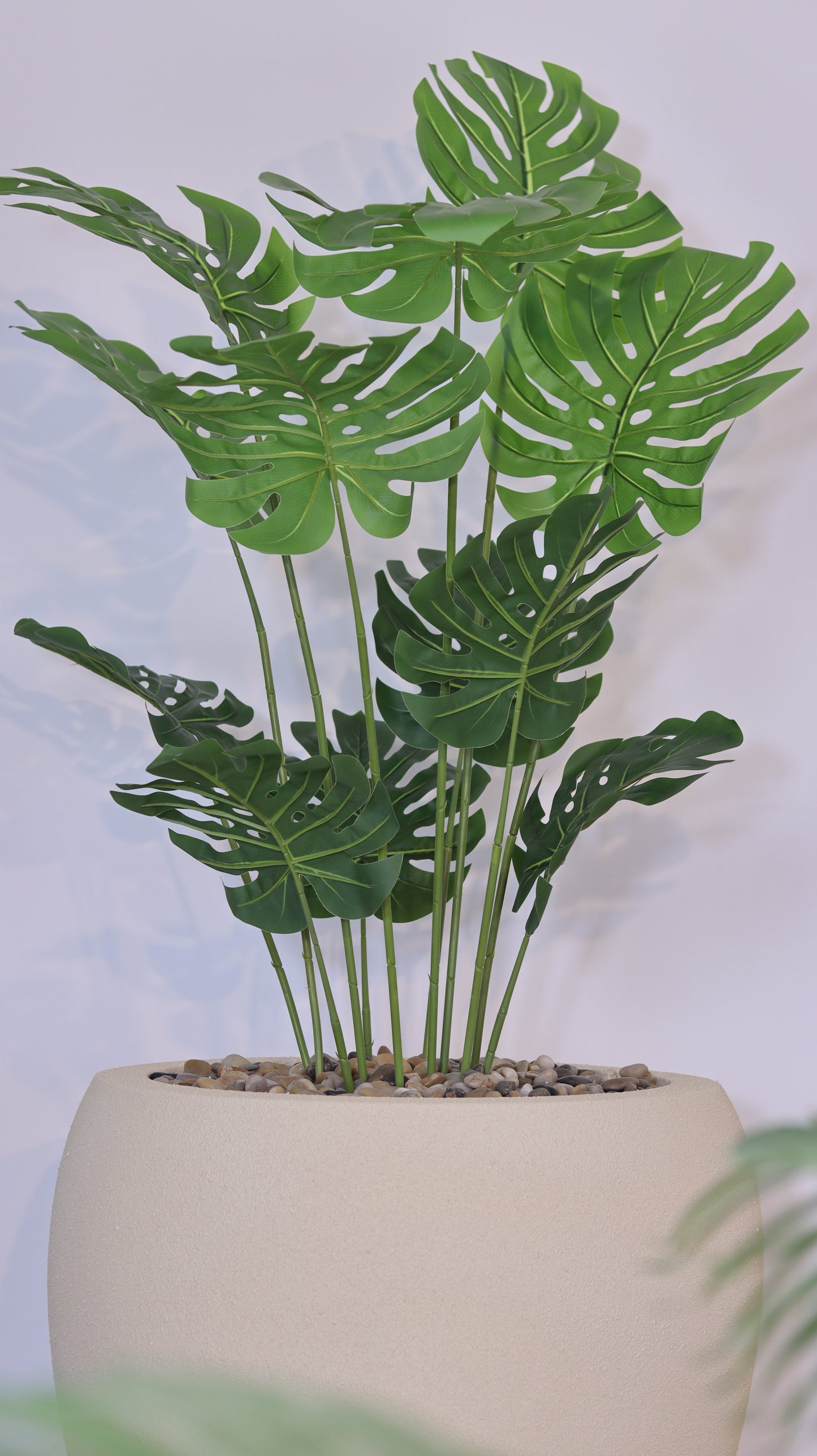 ماركن هافن