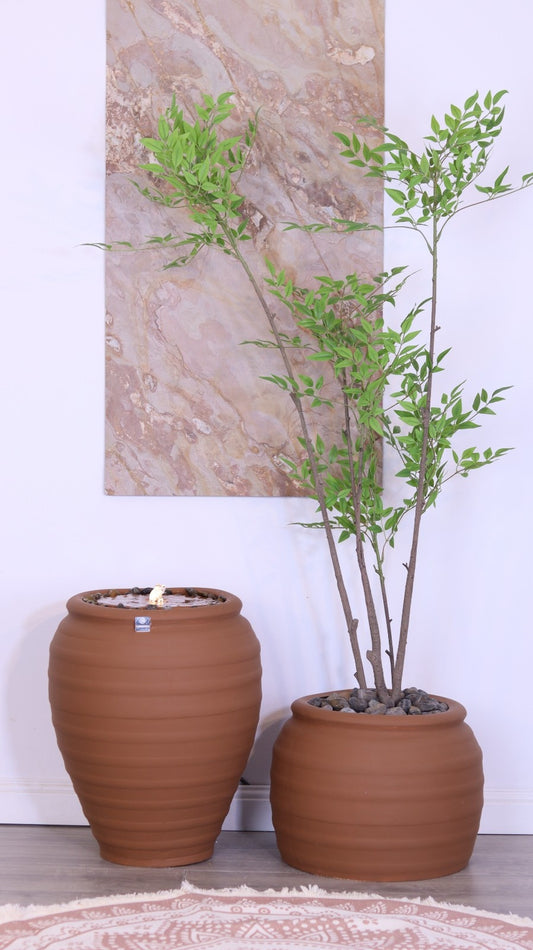 باقة أوليفا