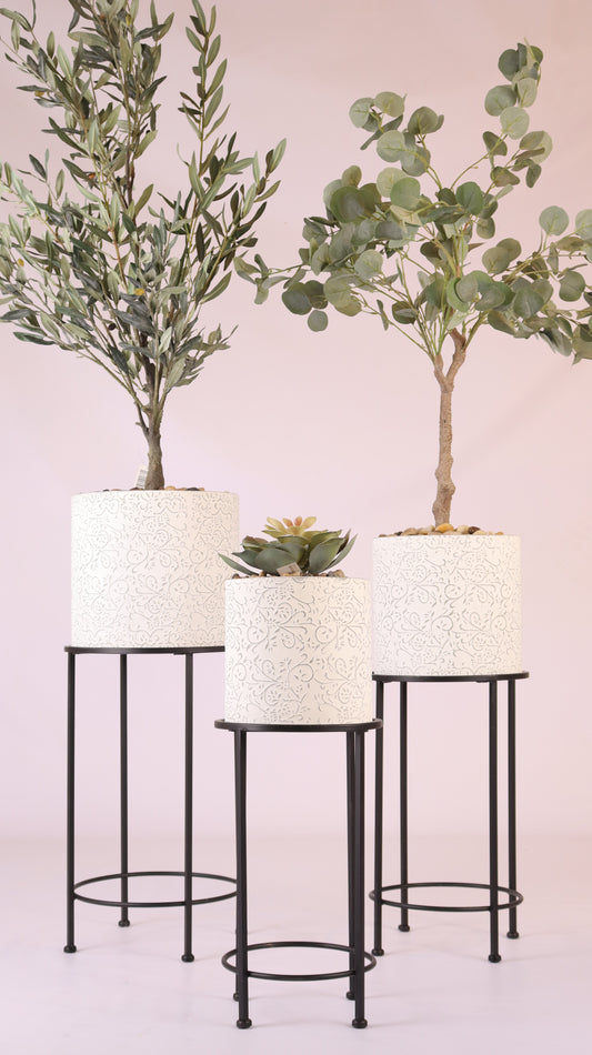 أحواض ستاند المزخرفة