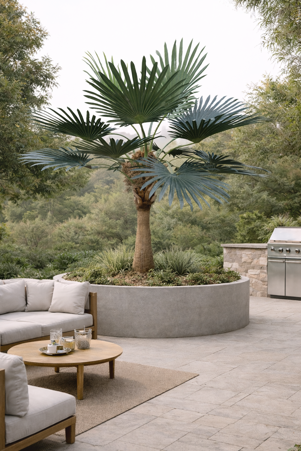 شجرة النخيل