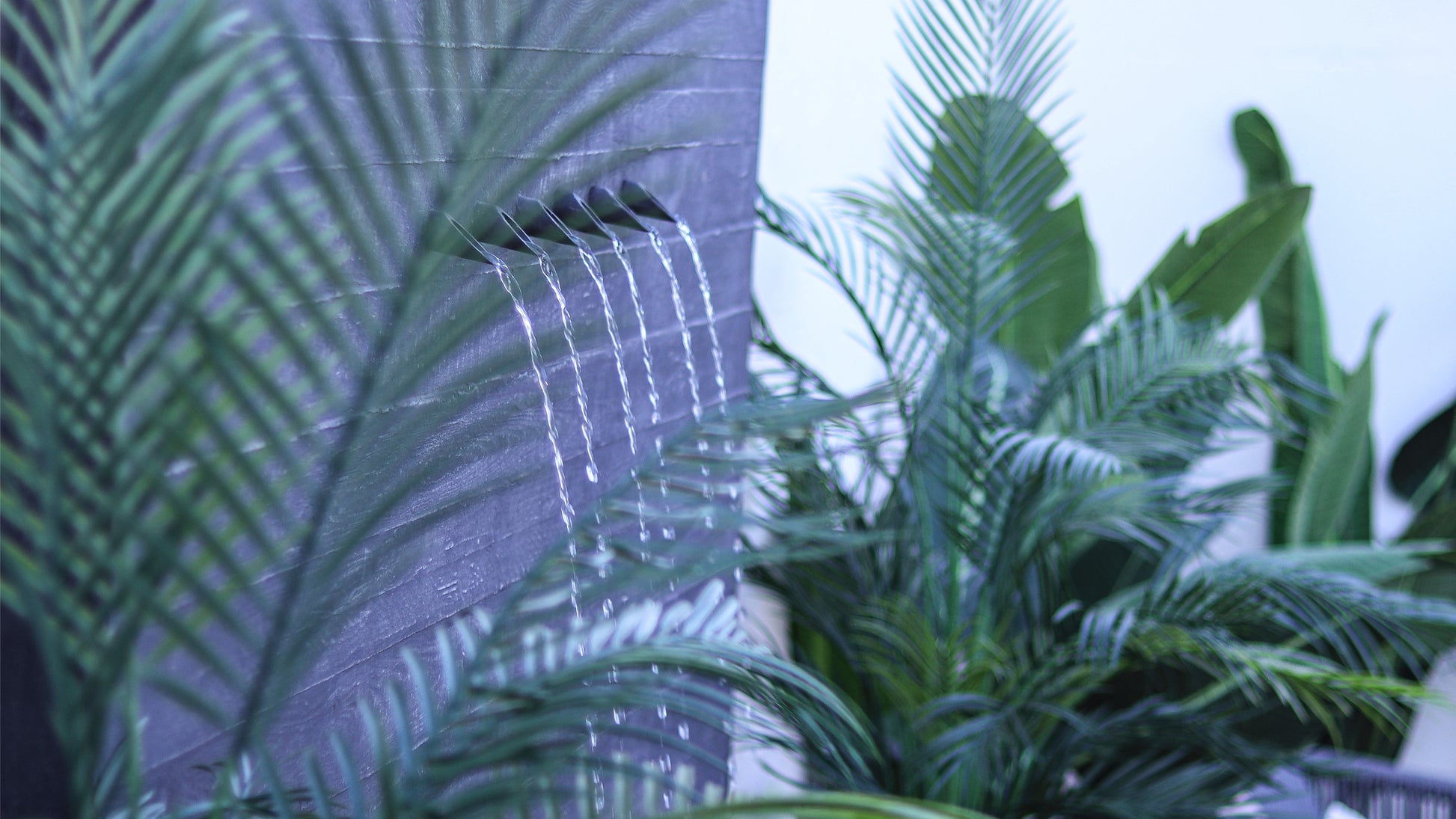 تصميم بسيط وأنيق يبرز جمال المنزل أو الحديقة.