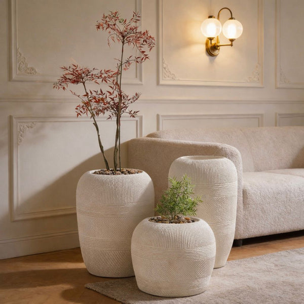 أحواض أرينا