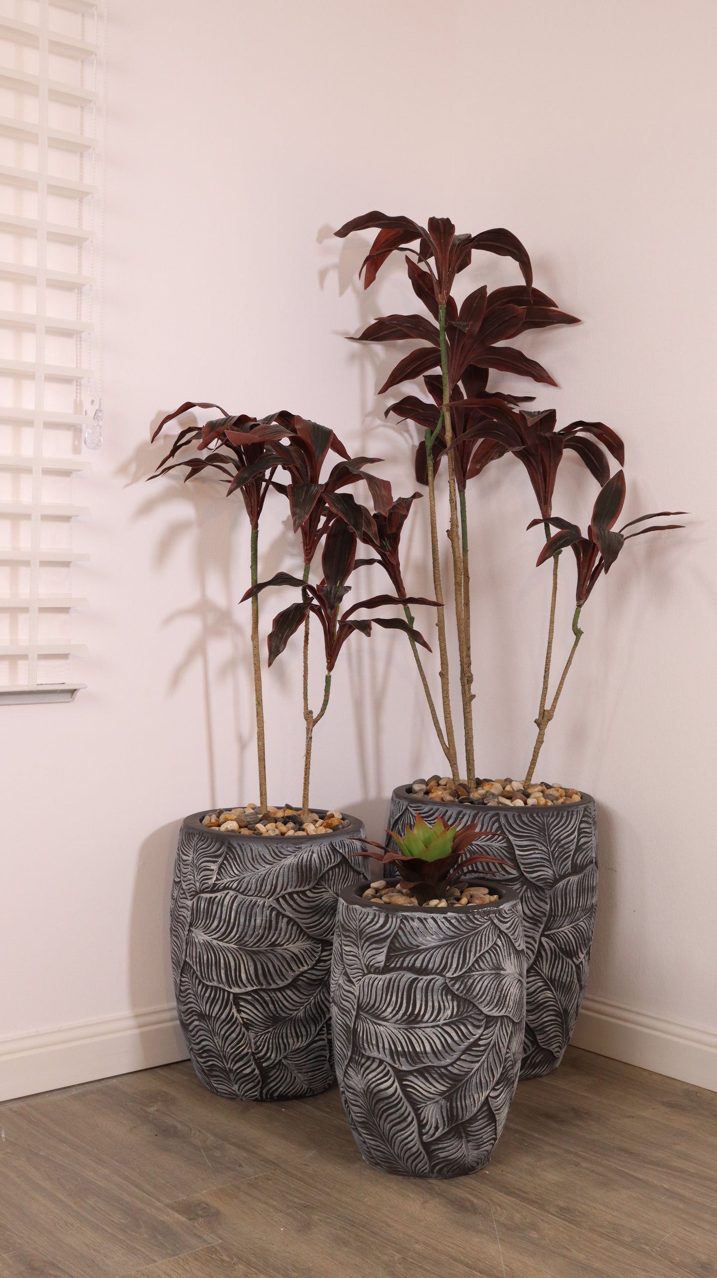 أحواض فلورينا