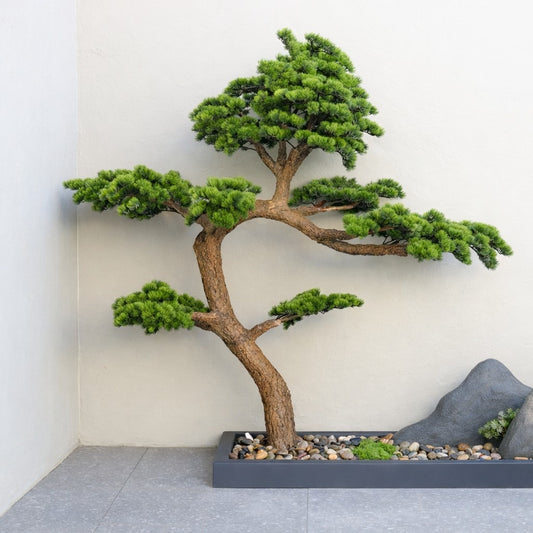 شجرة البونساي