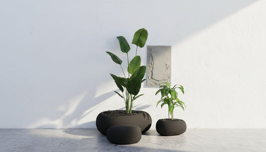 مراكن تولوم