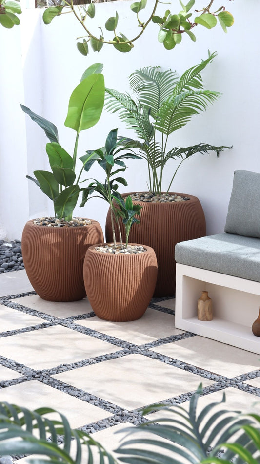 أحواض لينيا